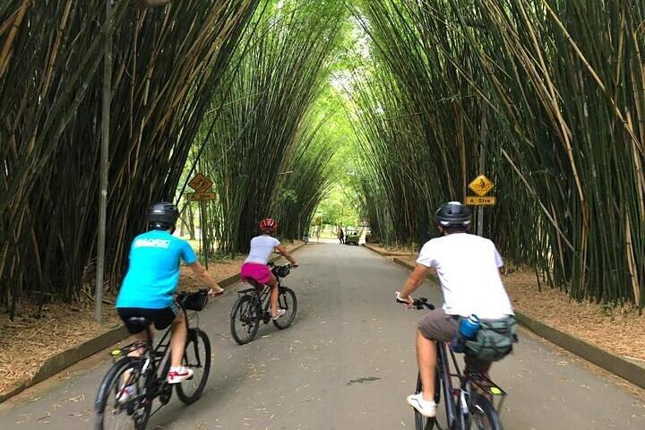 Bike Tour: The Coolest Urban Scenes of Sao Paulo - photo 2