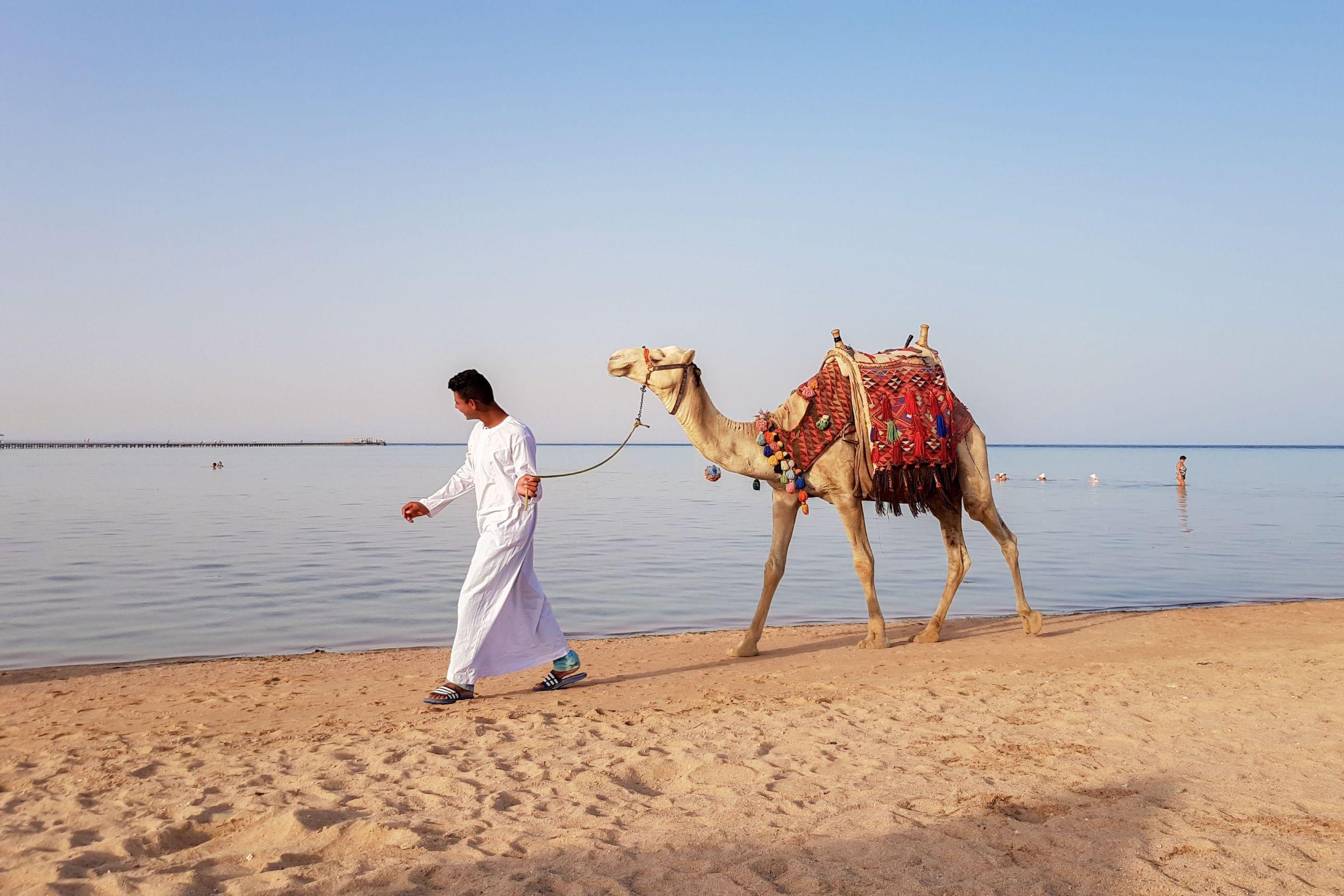 Desert Camel Riding Marsa Alam Tour for 2-Hour with Transfer - photo 2