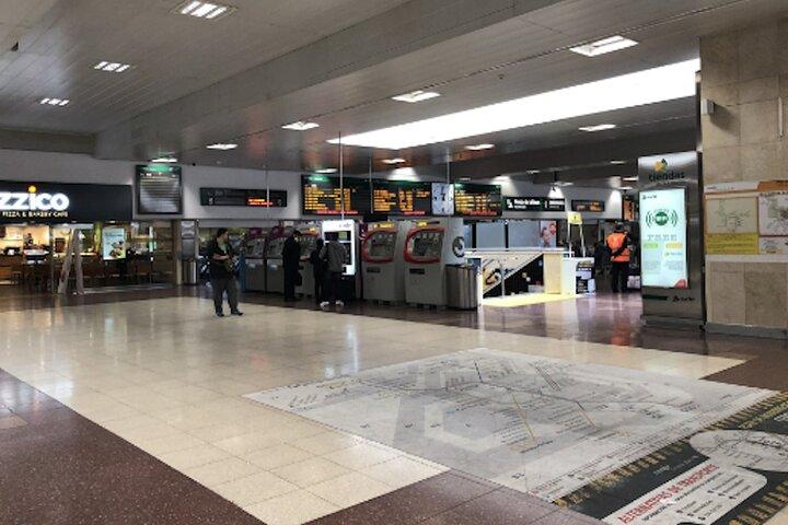 Private Transfer From Chamartín Station in Madrid to Madrid - photo 4