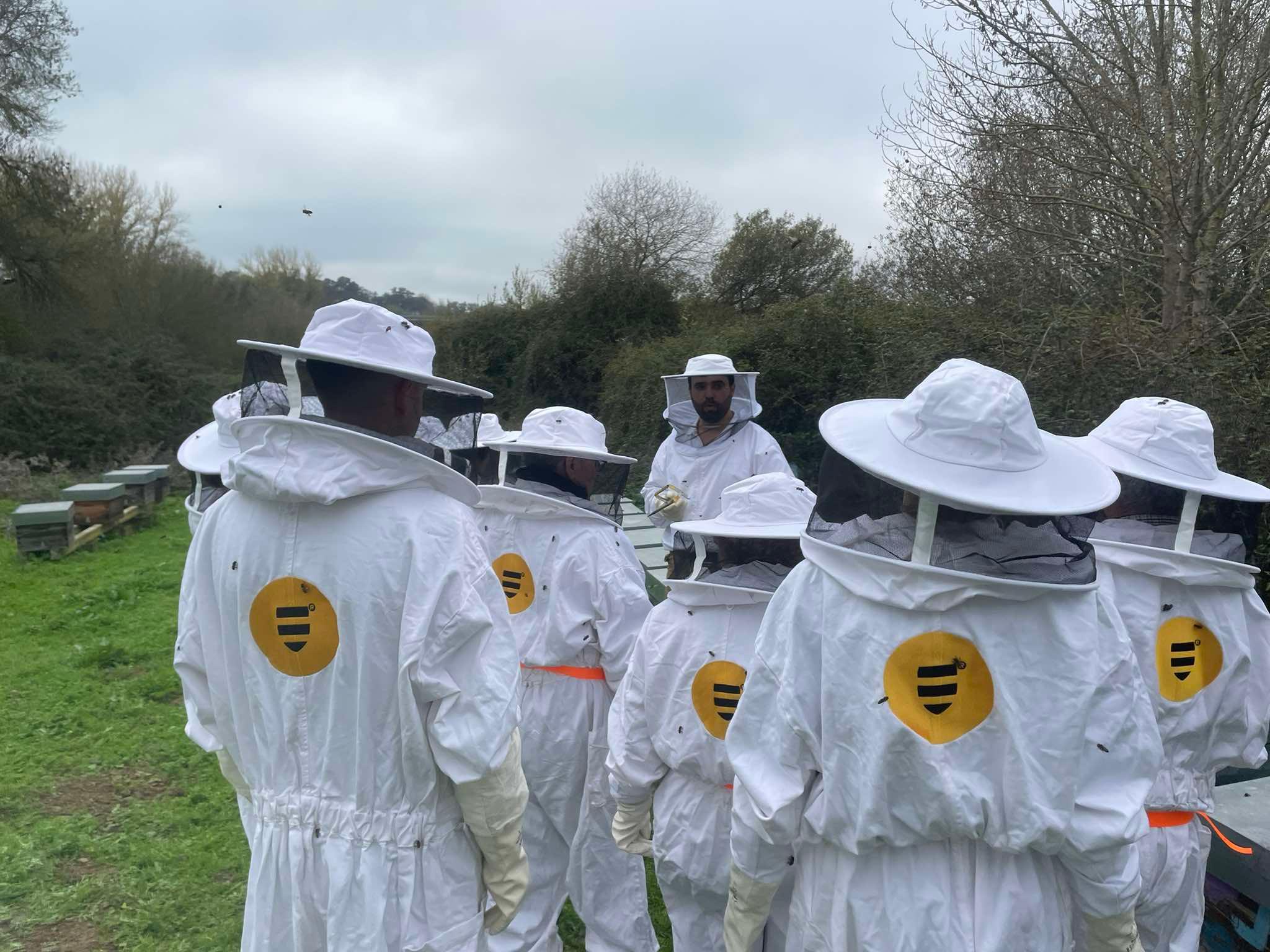Évora or Montemor-o-Novo: Guided tour of the hives and honey tasting - photo 4