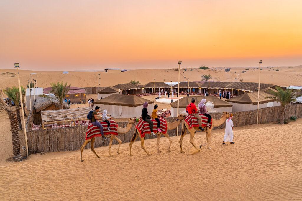 Dubai Overnight Heritage Desert Safari in a Camel - cover photo