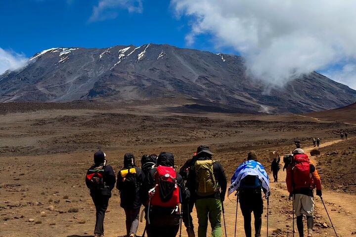 7-Day Kilimanjaro Shira Route | Remote, Scenic & Less Crowded Trek - photo 4
