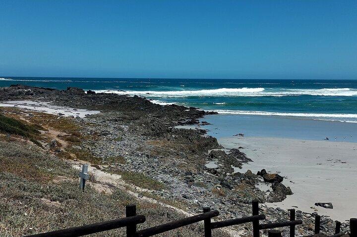 Cape Agulhas Full Day Private Tour From Cape Town - photo 3