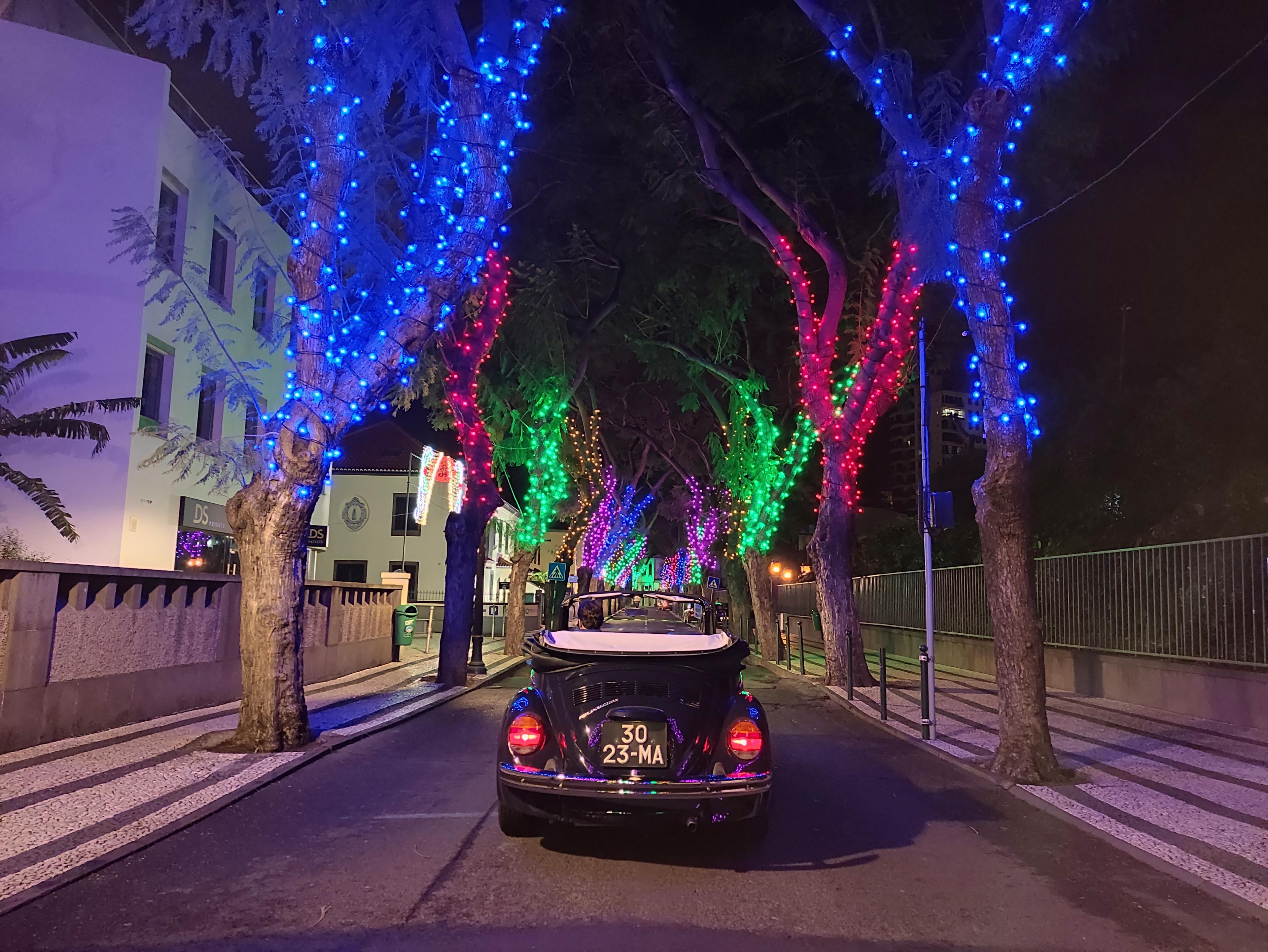 Funchal Christmas lights sightseeing night tour - cover photo