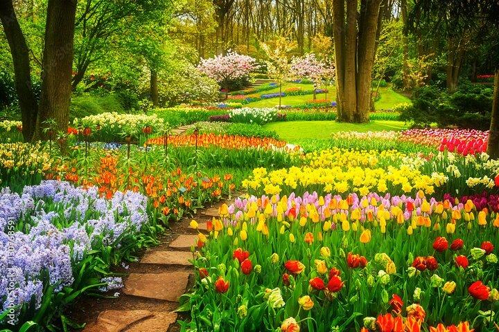 Delft and Keukenhof Gardens Tour - from Brussels - photo 3