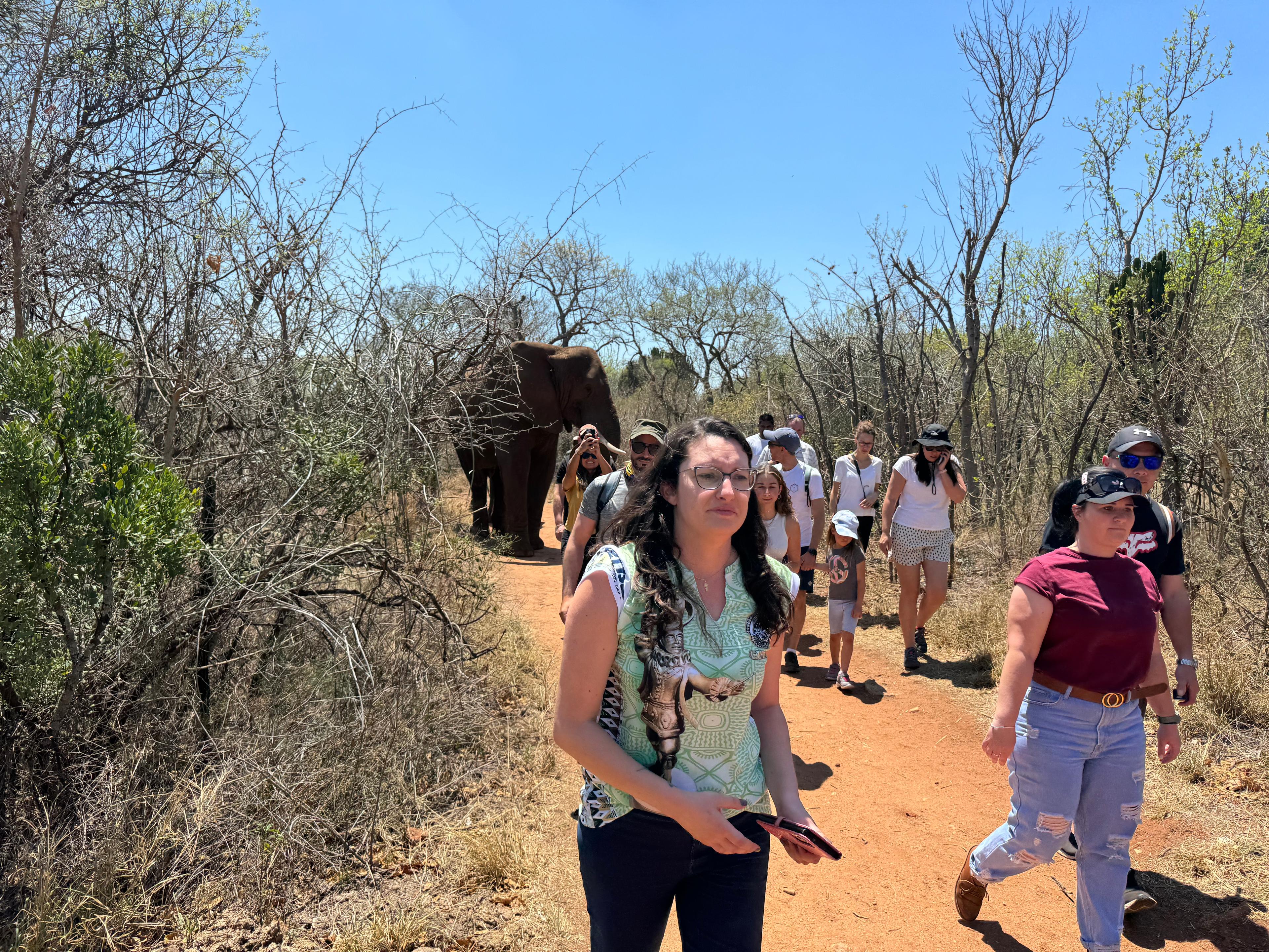 Walk with Lions in Johannesburg & Elephant Experience - photo 4