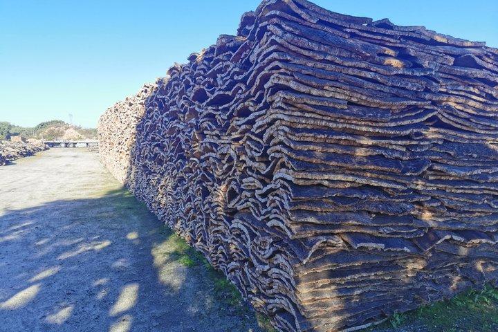 Évora Cork & Castle: From Cork Oak to Evoramonte — Private Tour - photo 4