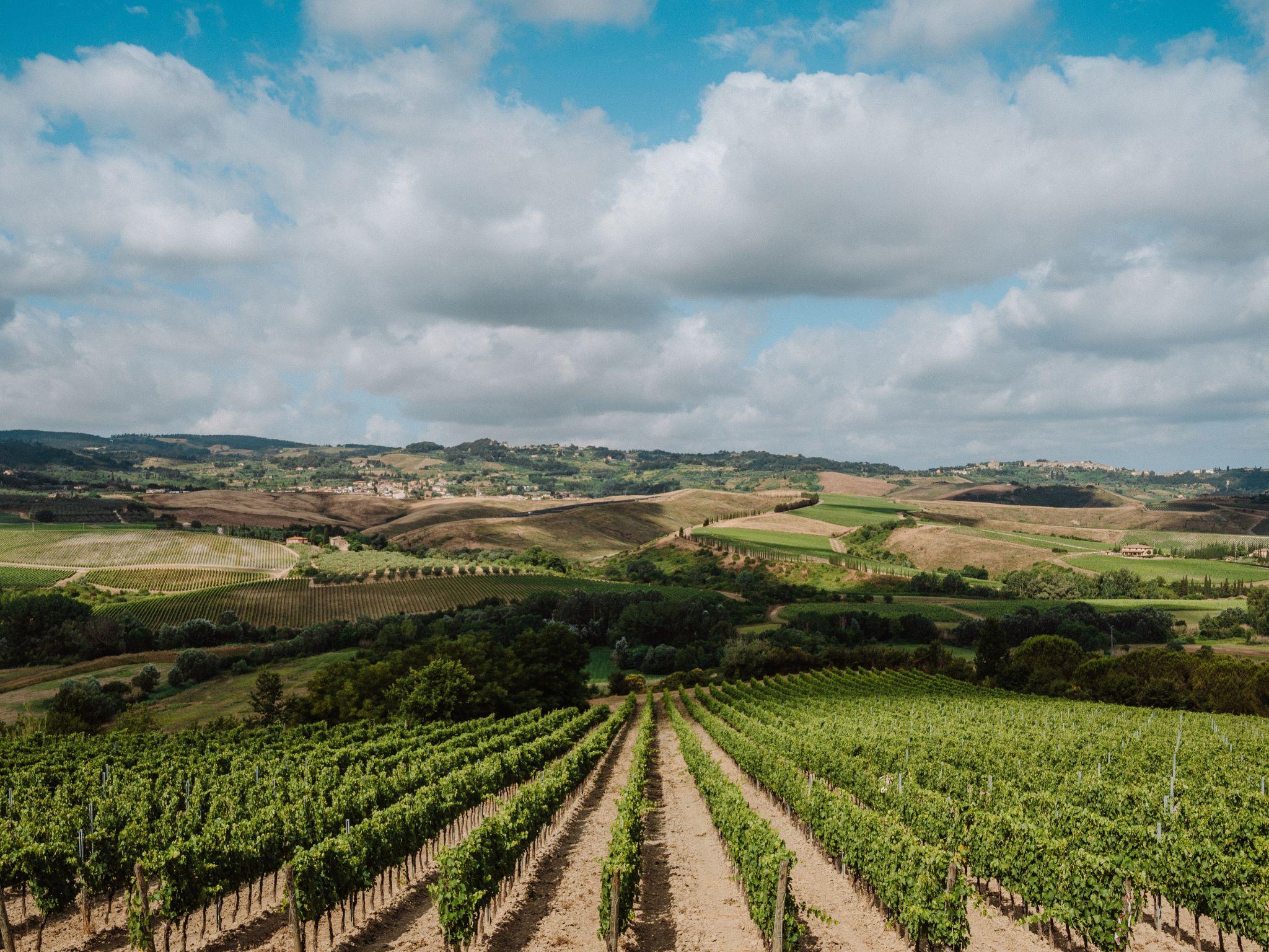 Abbey Tour, Wine Tasting & Tuscan Lunch Near Pisa - photo 5