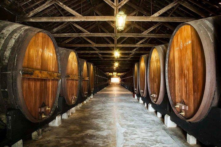 Excursão privada de vinhos em Lisboa com visita a 2 vinícolas e degustação - cover photo