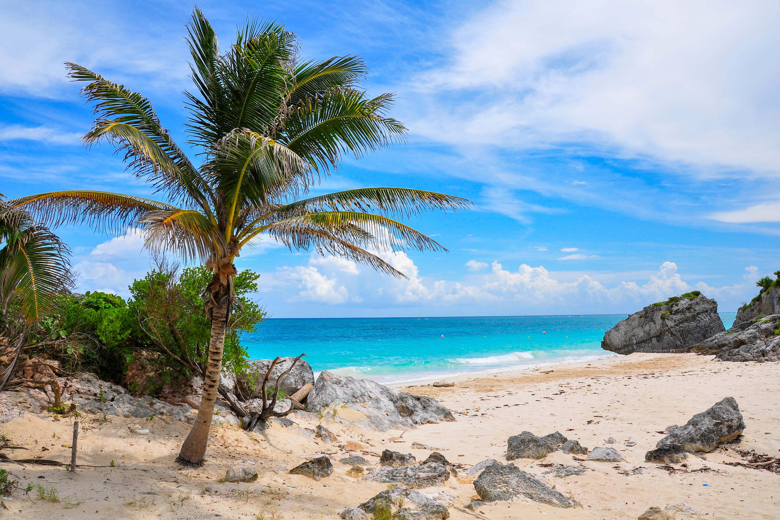 Tulum Ruins: Walking Tour with Audio Guide - photo 4