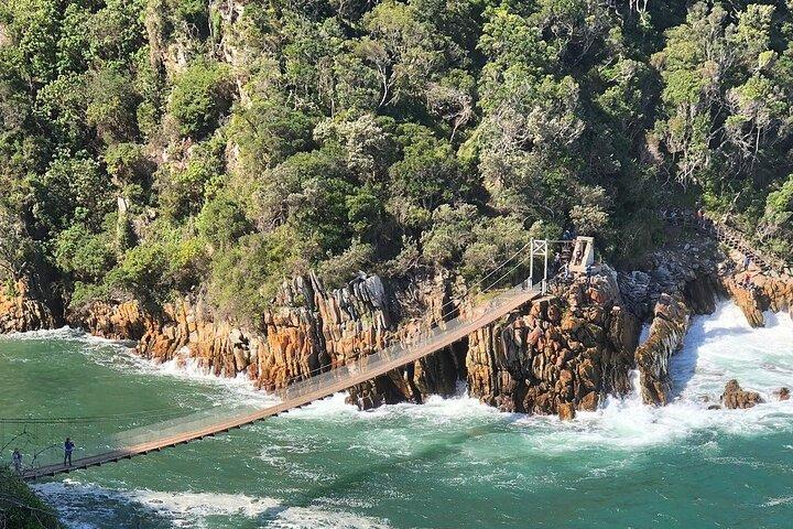 3- Day Garden Route Private Tour from Cape Town - photo 5