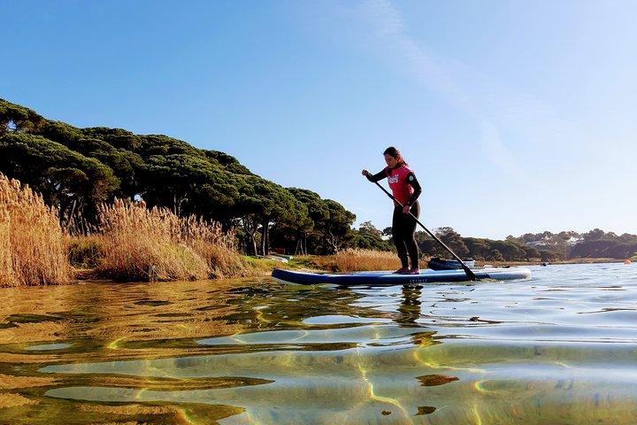 Stand Up Paddle Adventure at Lisbon - cover photo
