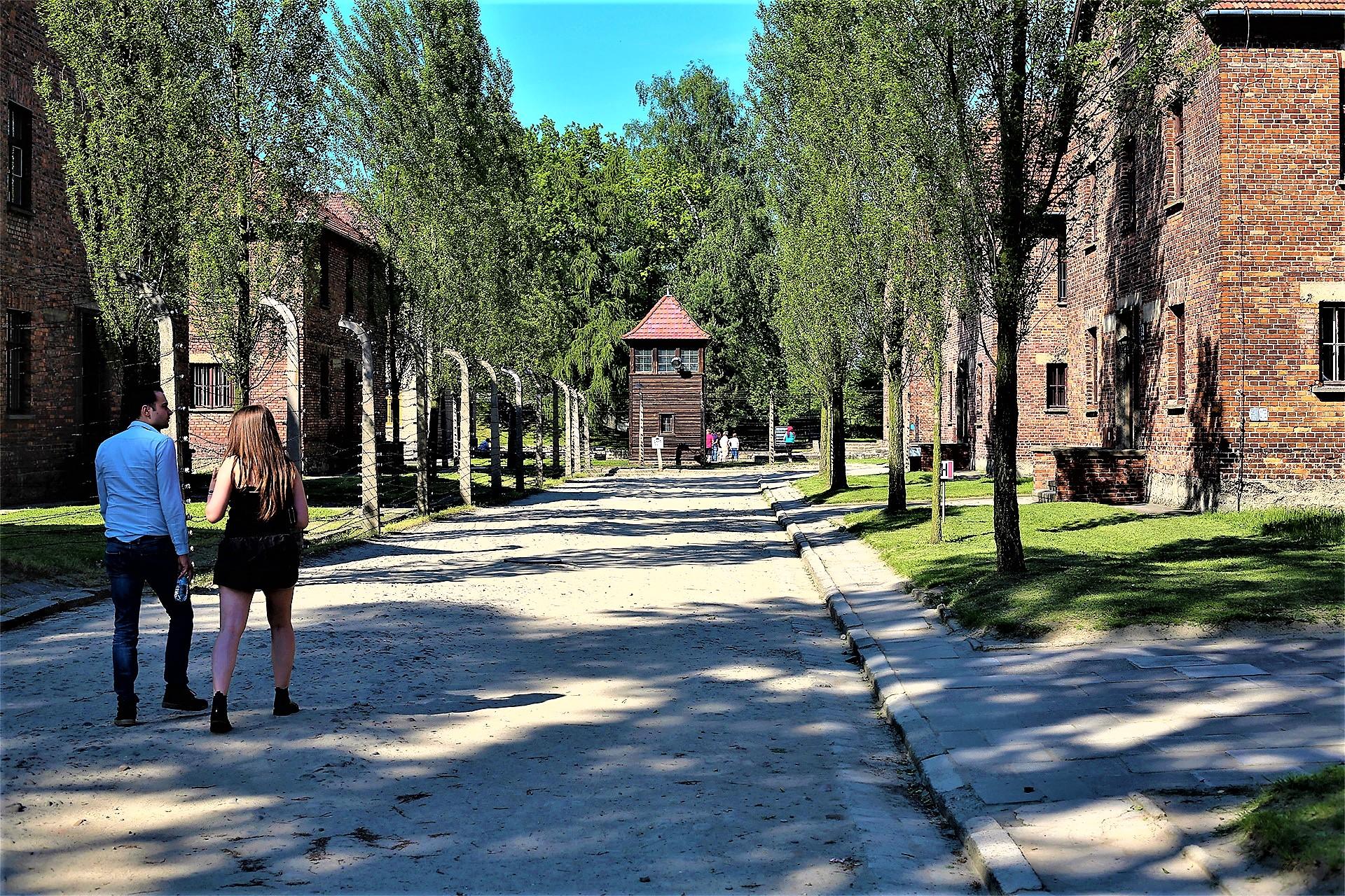 Auschwitz-Birkenau Museum: Private transport from Krakow and Back - photo 5