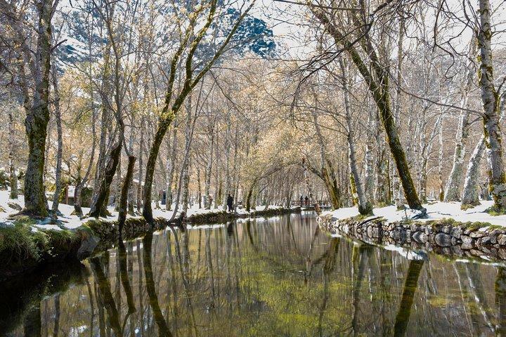 Serra da Estrela - Full Day Private Tour - photo 5