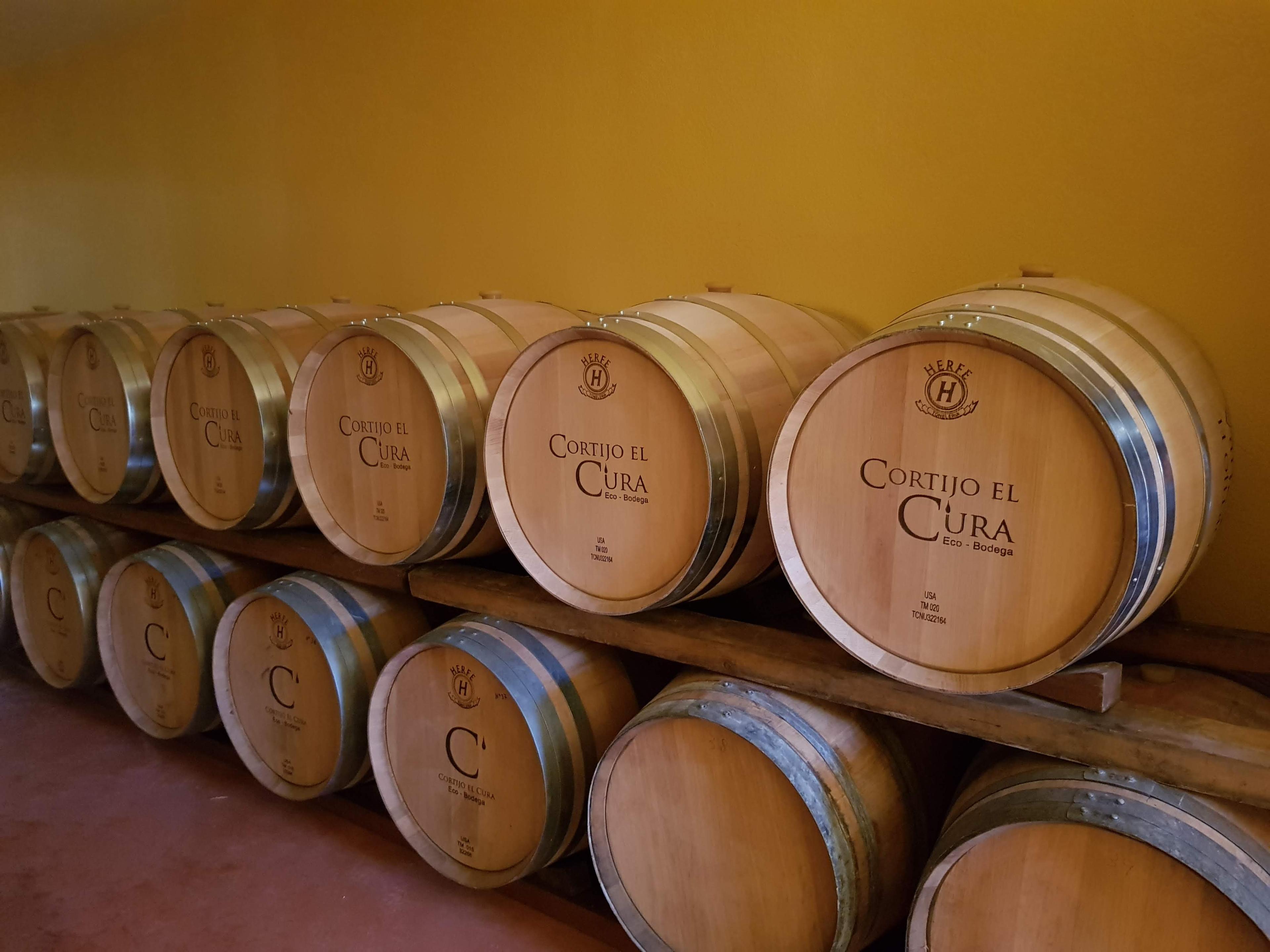 Wine tour and tasting in Almería - photo 4