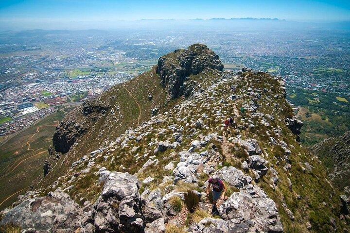 Private Hiking and Trekking on Table Mountain with Guide - photo 3