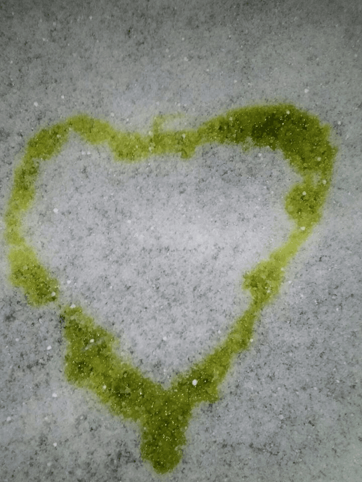 Olive oil tasting in Abruzzo. - photo 3