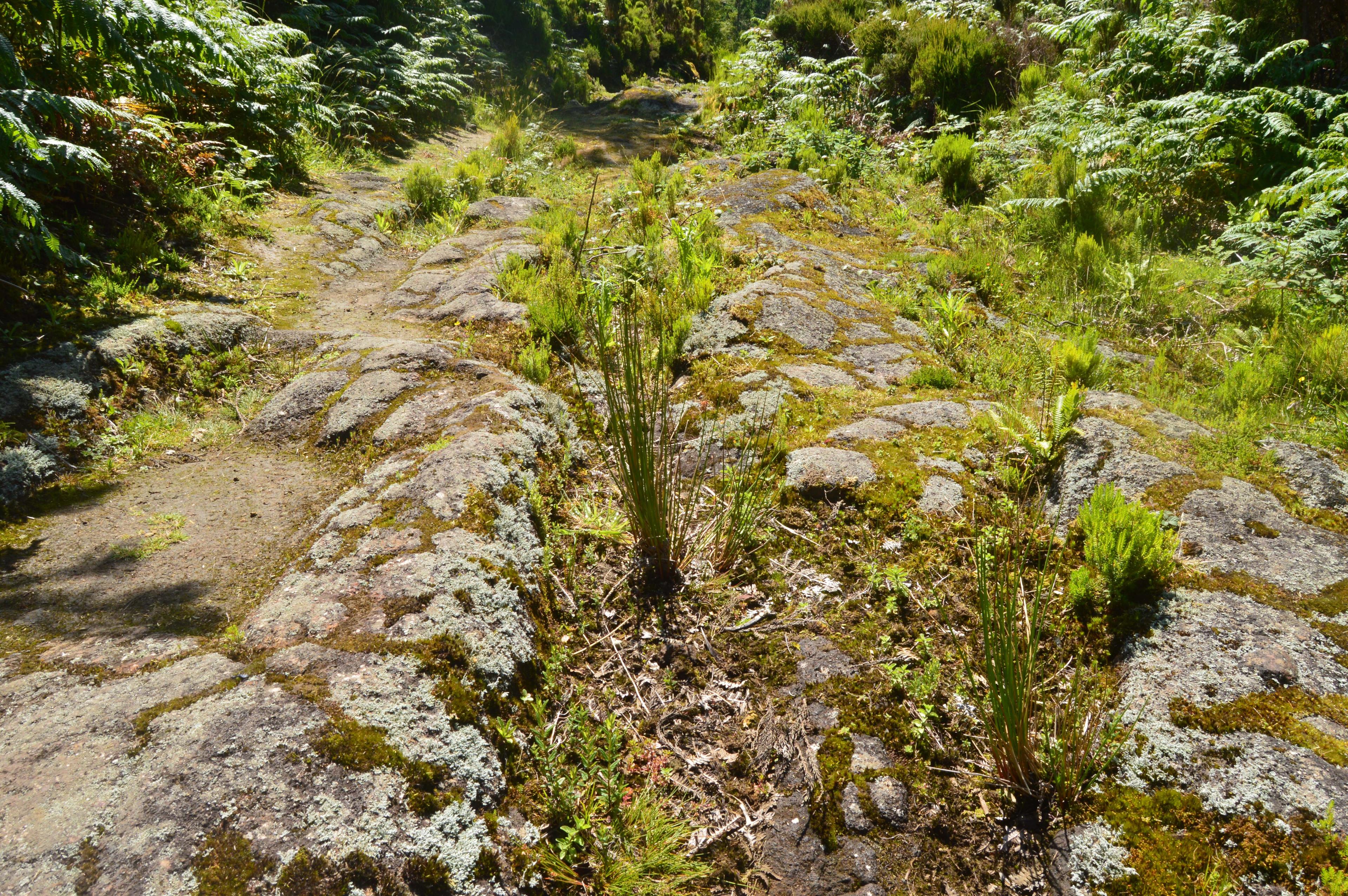 Hiking- passagem das Bestas - photo 3