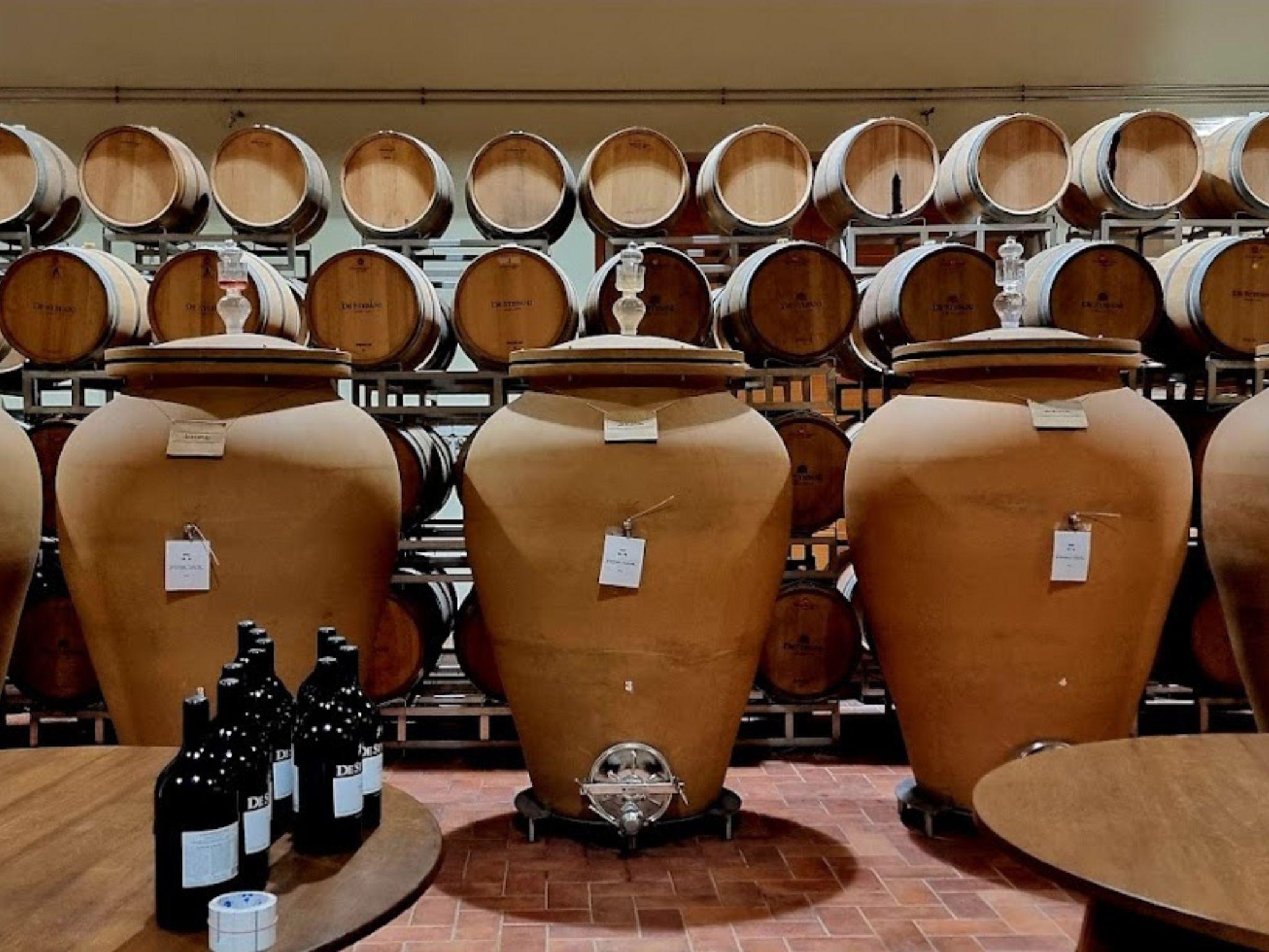 Prosecco Winery Tasting with Food Pairing near Venice - cover photo