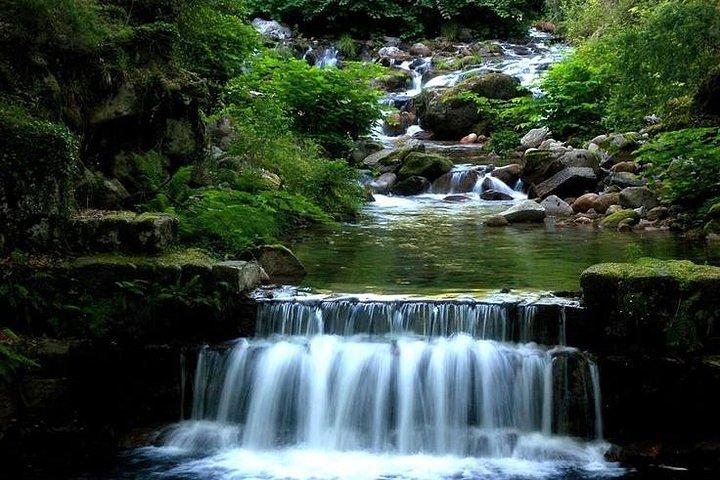 Peneda-Gerês National Park Private Tour - cover photo