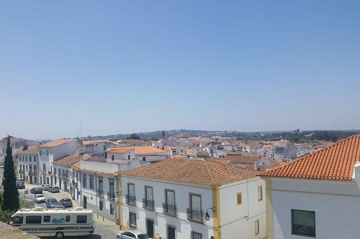 Évora and Alentejo Private Wine and Cork Tour From Lisbon - photo 4
