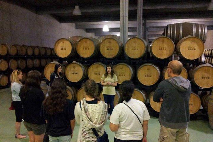 Private Tour From Porto: Douro Valley Wine Tour - photo 4