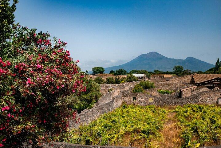 Pompeii, Vesuvius Hike and Wine Tasting with Lunch from Sorrento - photo 5