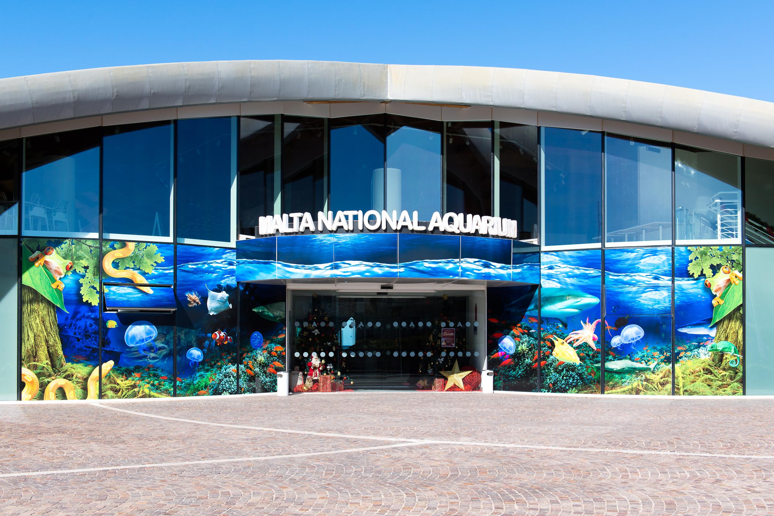 Malta National Aquarium Entry Ticket - photo 2