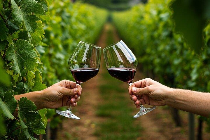 Paarl, Franschhoek and Stellenbosch Vineyards Wine Tour - photo 4