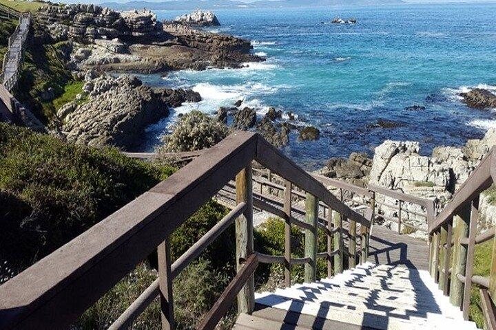 Cape Agulhas Full Day Private Tour From Cape Town - photo 5