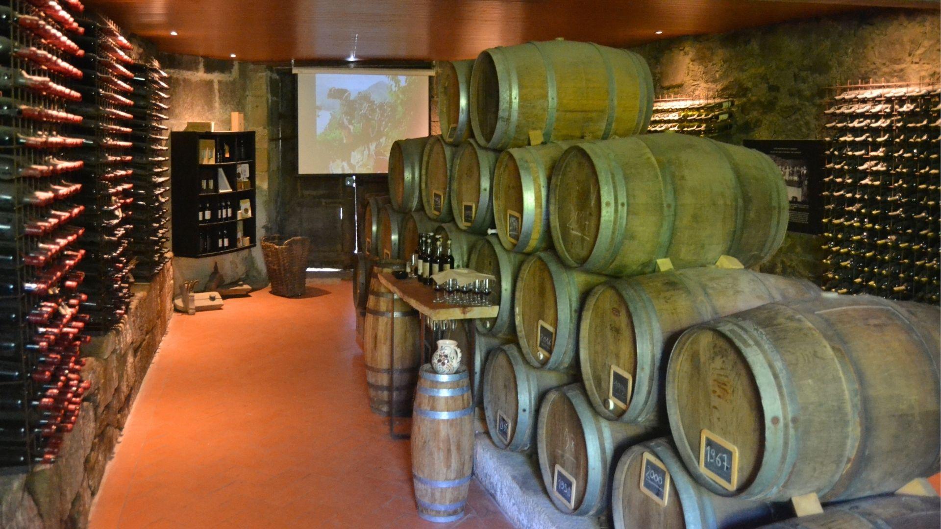 Three-Winery Douro Valley Experience for Wine Lovers - photo 5