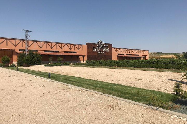 Private Tour Ribera del Duero and Emilio Moro with Official Guide - cover photo