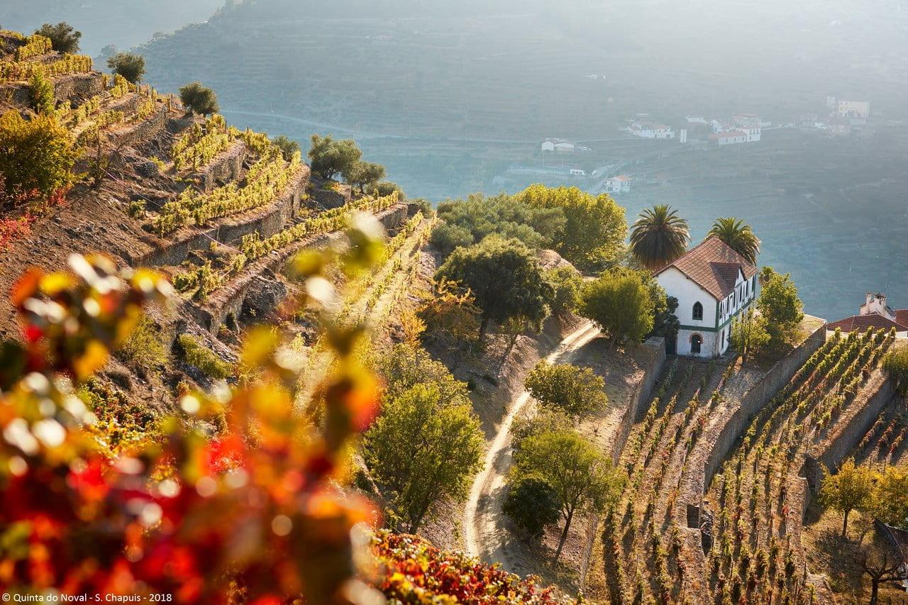 4×4 Douro Wine Tasting Tour - photo 2