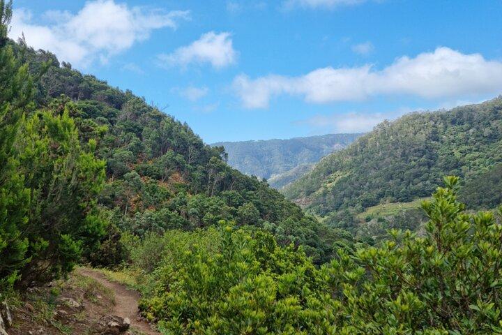Madeira Porto da Cruz to Machico Self Hiking Tour with Transfer - photo 3