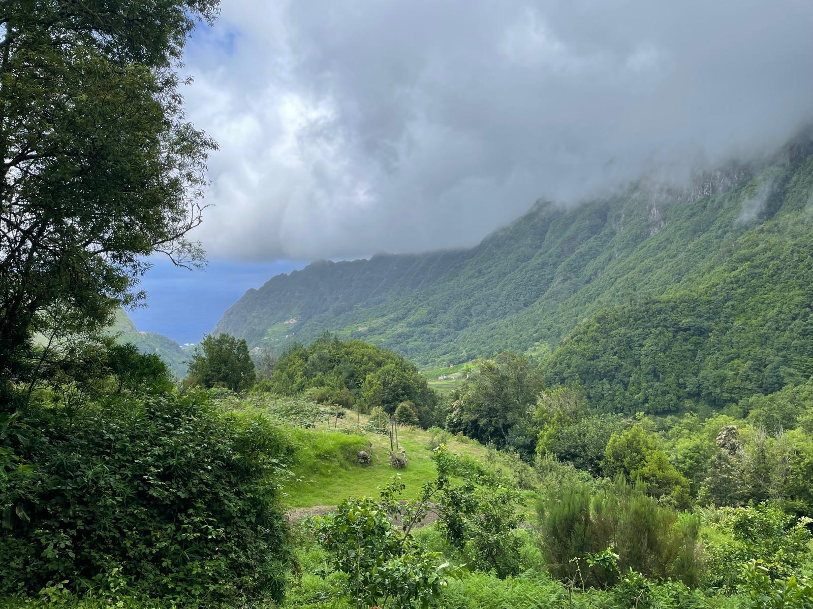 The Untouched Nature's Hike - photo 2