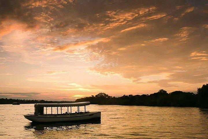Zambezi Classic Sunset Cruise - photo 5