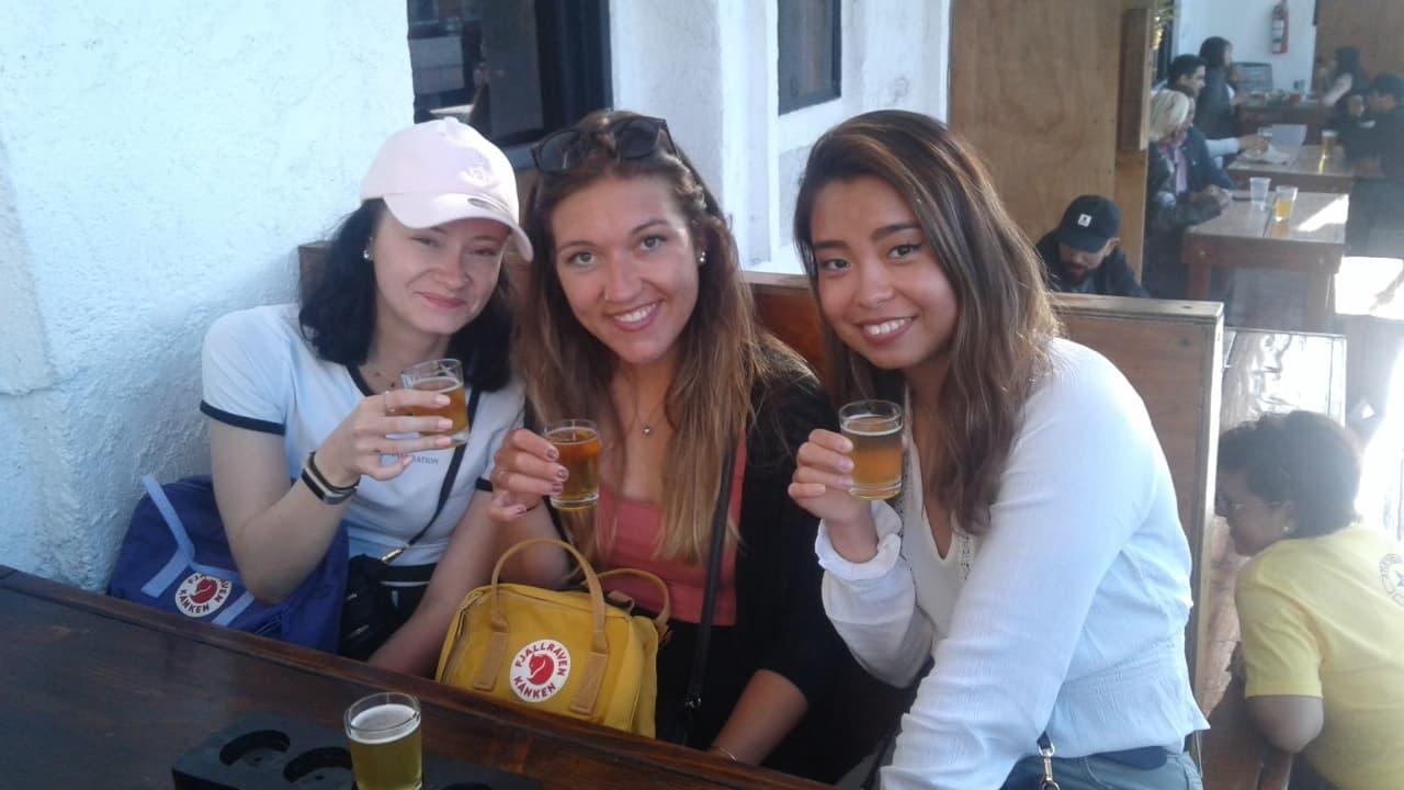 Intro to Mexican Craft Beer from San Diego - photo 3