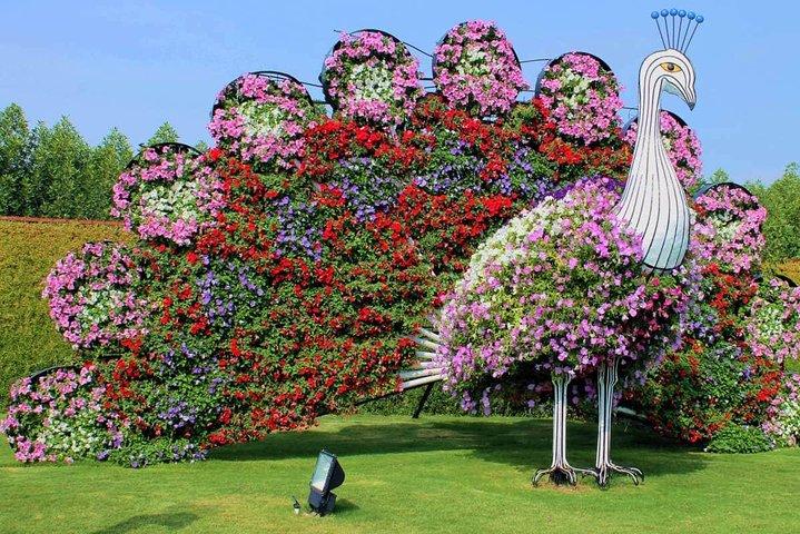 Dubai Miracle Garden with private round trip transfers - photo 3