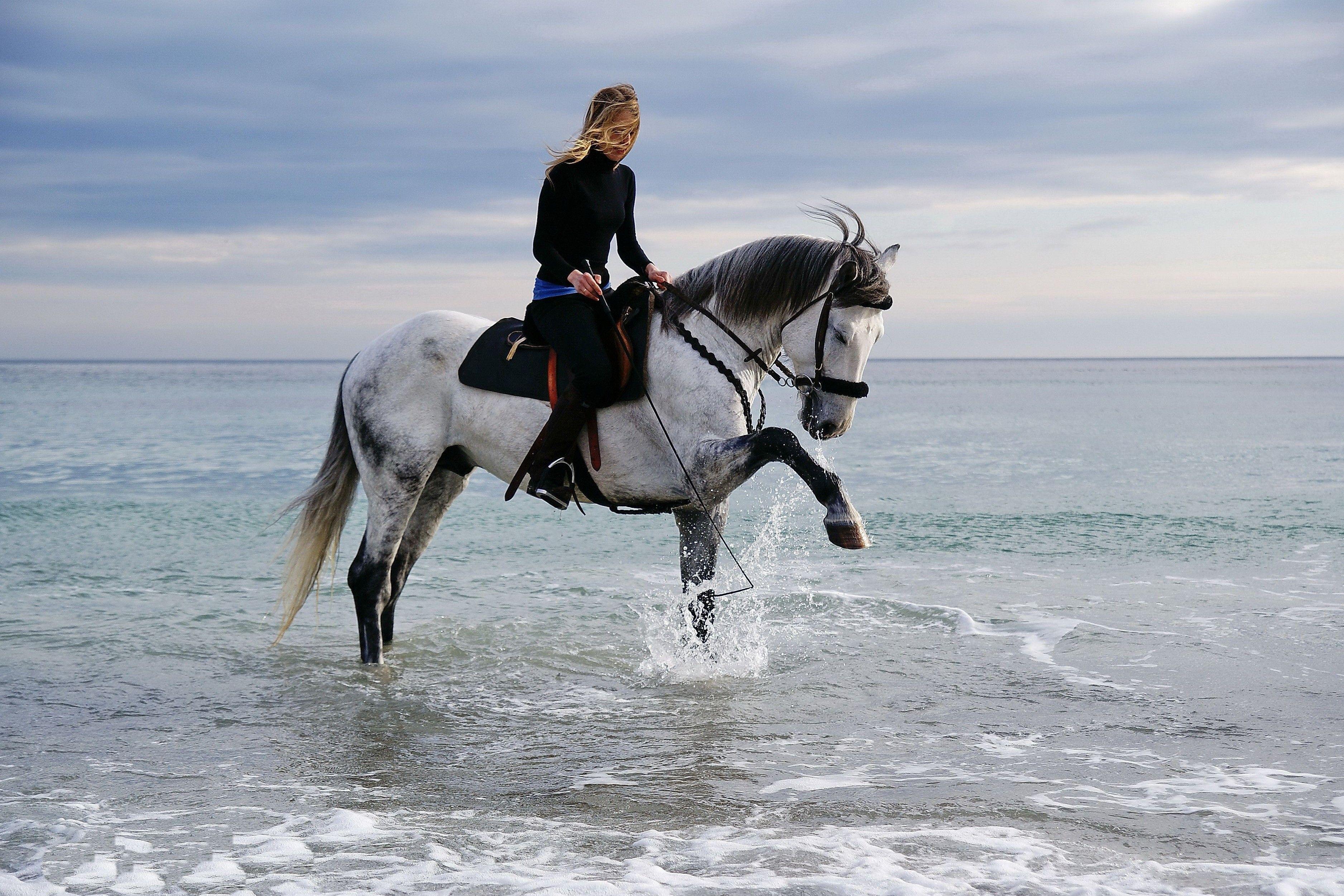 Horseback Riding Tour Marsa Alam with Option Horse Swimming - photo 3
