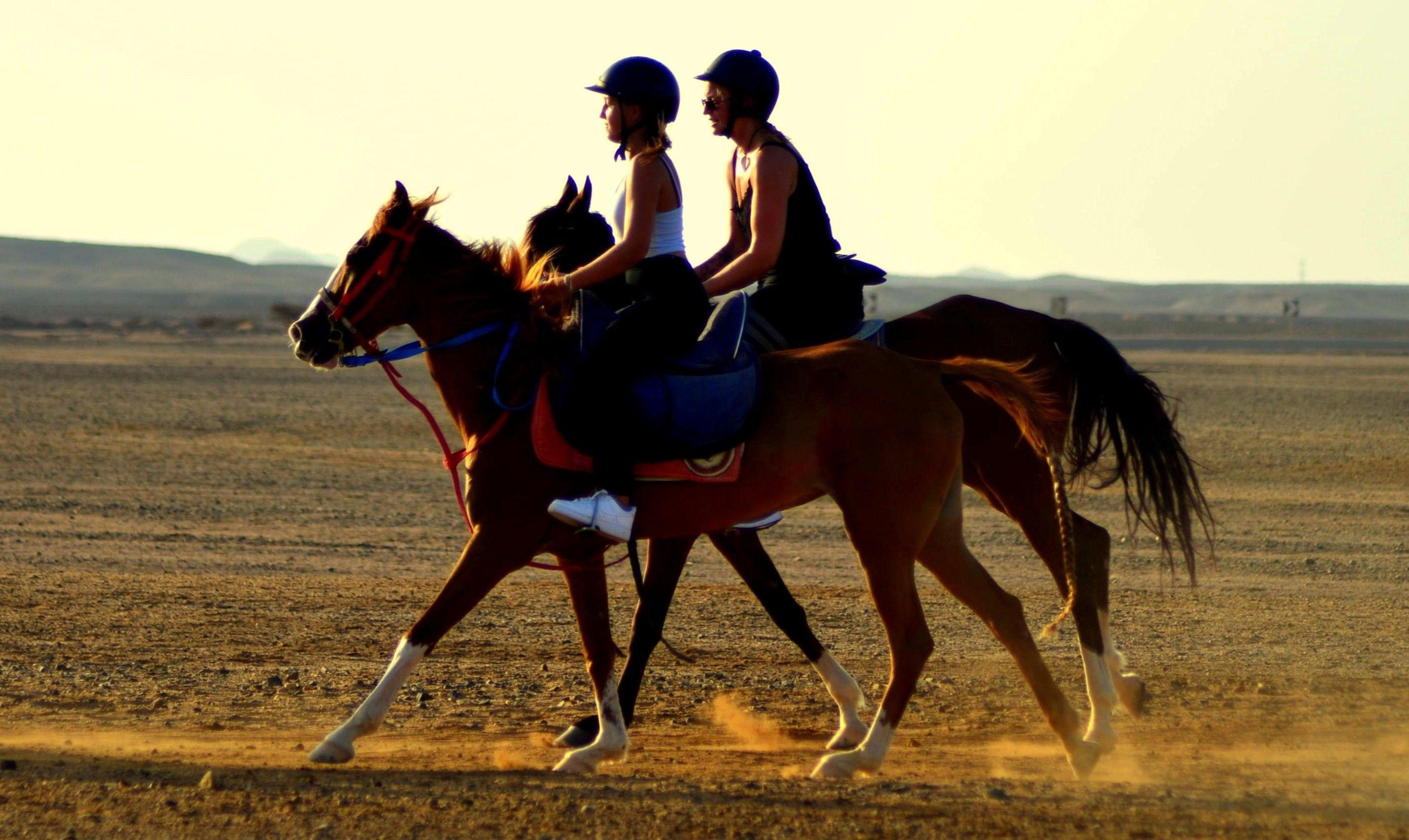 Swimming With Horse Riding Hurghada Tour Option Dinner & Show - photo 2