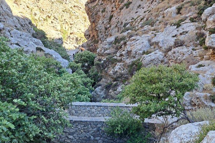 Kourtaliotiko Gorge and South Crete Private Tour - photo 2