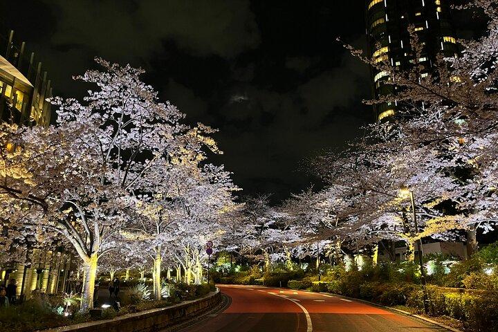 2-Hr Tokyo Night Bike Tour: Shibuya, City Lights & Tokyo Tower - photo 5