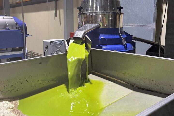 Olive Oil Mill Raki Distillery and Heraklion City Private Tour - photo 2