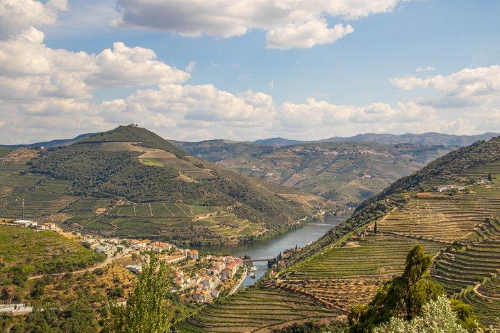 Private from Porto: Douro Valley Historical & Wine Tour - photo 4
