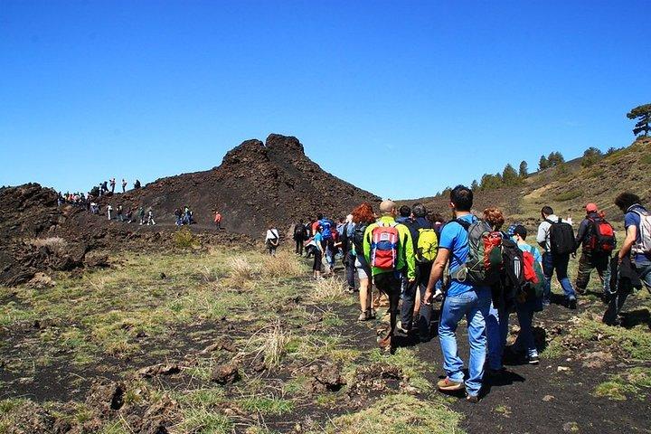 ETNA & WINE, TAORMINA TOUR FD from CATANIA (with GUIDE and LUNCH included) - photo 4