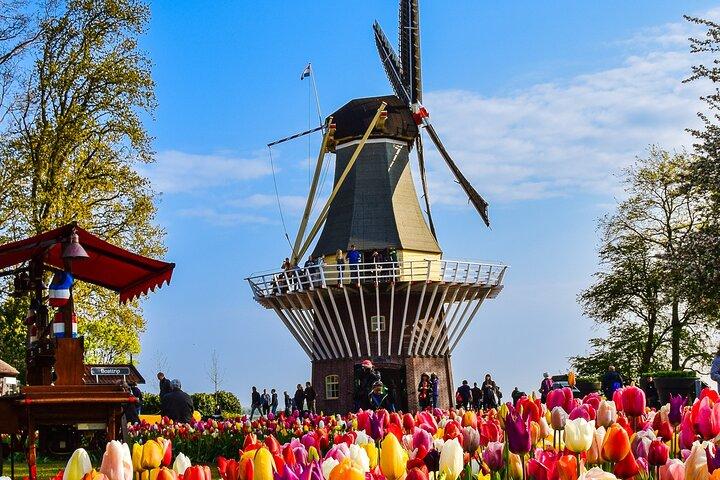 Delft and Keukenhof Gardens Tour - from Brussels - photo 2
