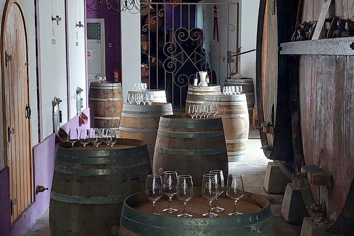 Small Group Wine, Bread & Cheese Experience with Farmhouse Lunch - photo 3