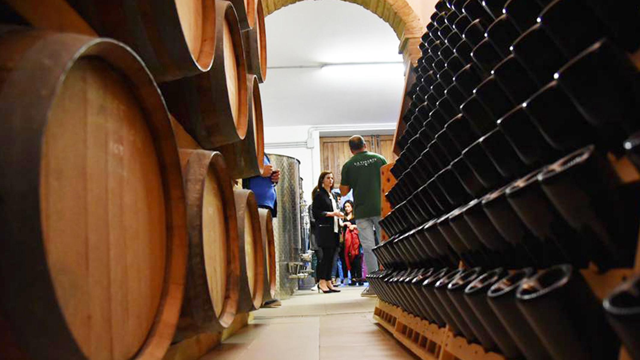 La Vinarte Winery and Tasting - cover photo
