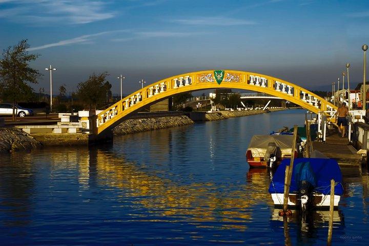 Aveiro Small-Group: Half Day Tour with Boat Ride - photo 3