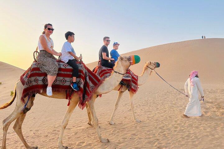 Abu Dhabi Desert Safari with Camel Ride BBQ Dinner and Live Shows - photo 5